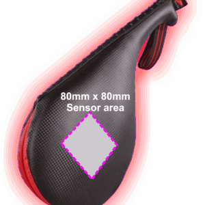 Electronic Paddle x 10