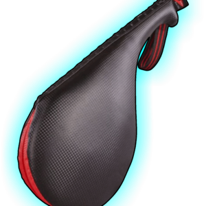 Electronic Paddle x 2