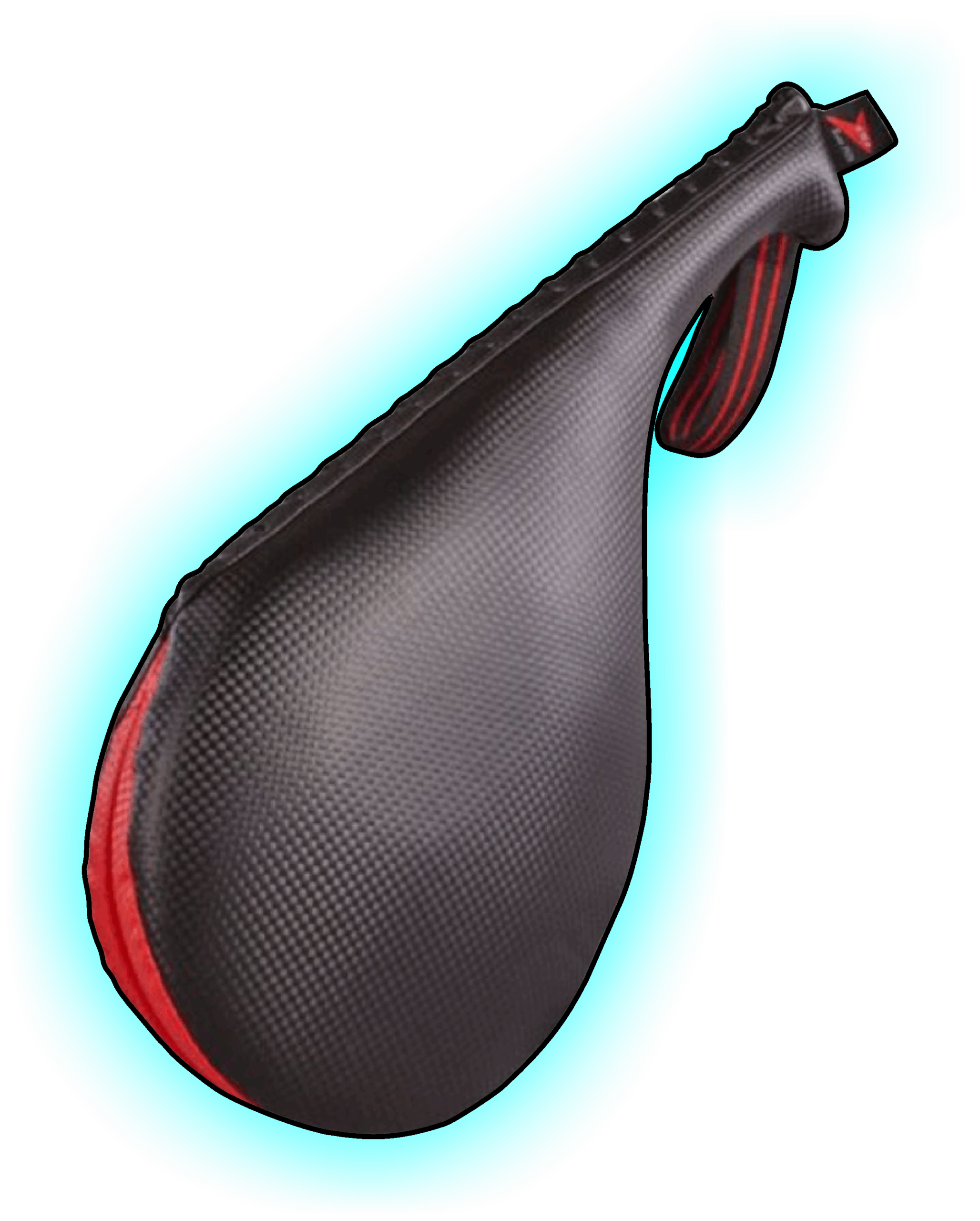Electronic Paddle x 2